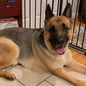 Meet your Posher, Danny